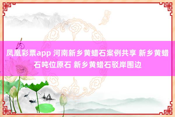 凤凰彩票app 河南新乡黄蜡石案例共享 新乡黄蜡石吨位原石 新乡黄蜡石驳岸围边