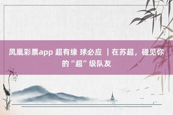 凤凰彩票app 超有缘 球必应 ｜在苏超，<a href=