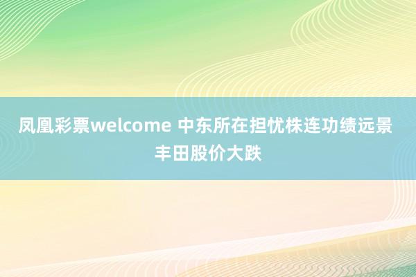 凤凰彩票welcome 中东所在担忧株连功绩远景 丰田股价大跌