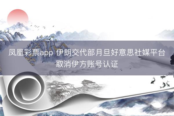 凤凰彩票app 伊朗交代部月旦好意思社媒平台取消伊方账号认证