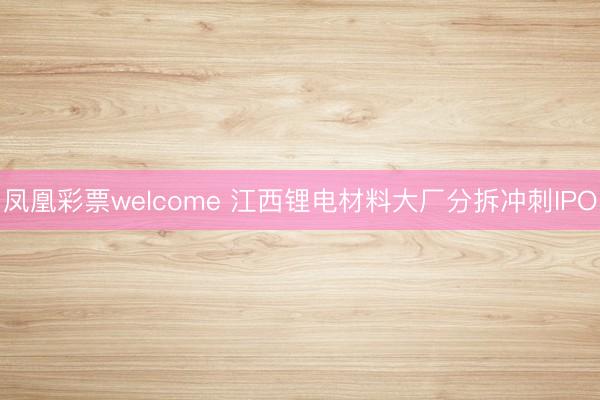 凤凰彩票welcome 江西锂电材料大厂分拆冲刺IPO